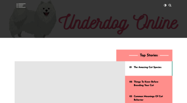 underdogsonline.com
