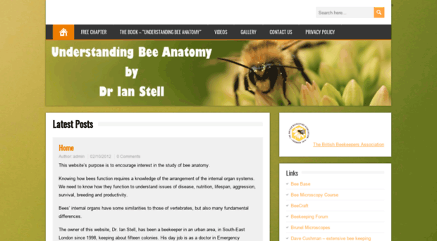 understandingbeeanatomy.com