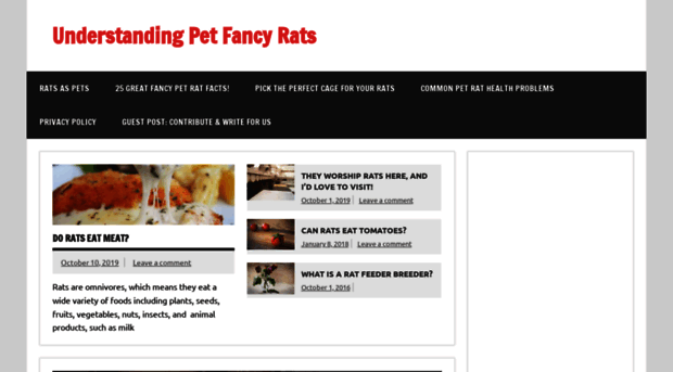 understandingpetfancyrats.com