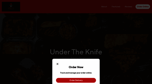 undertheknifekatytx.com