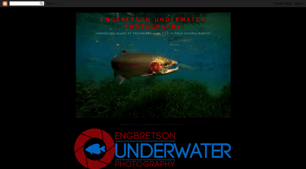 underwaterfishphotos.blogspot.com