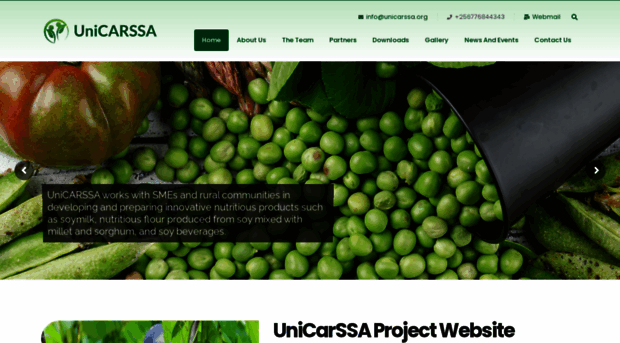 unicarssa.org