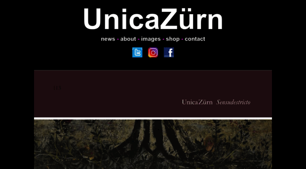 unicazurn.com