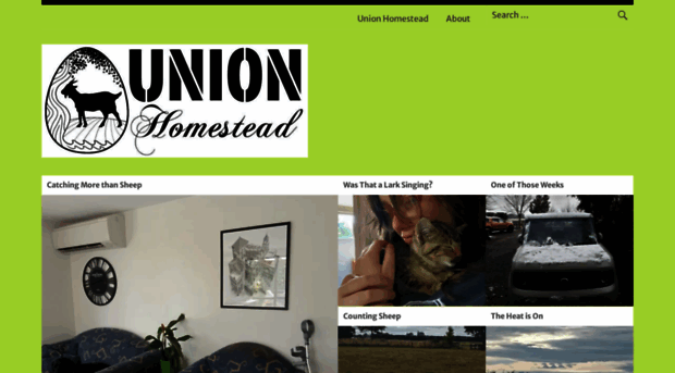 unionhomestead.com