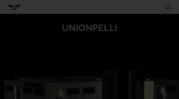 unionpelli.com