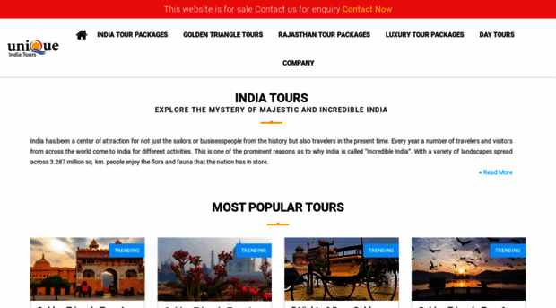 uniqueindiatours.com