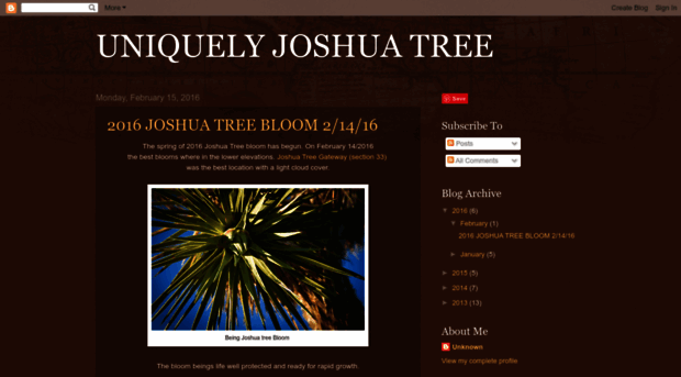 uniquelyjoshuatree.blogspot.com