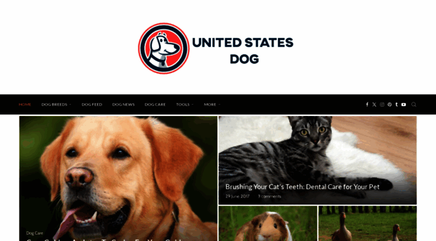 unitedstatesdog.com