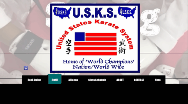 unitedstateskaratesystem.com