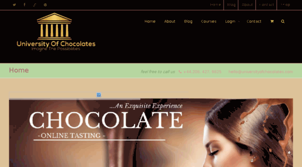 universityofchocolates.com