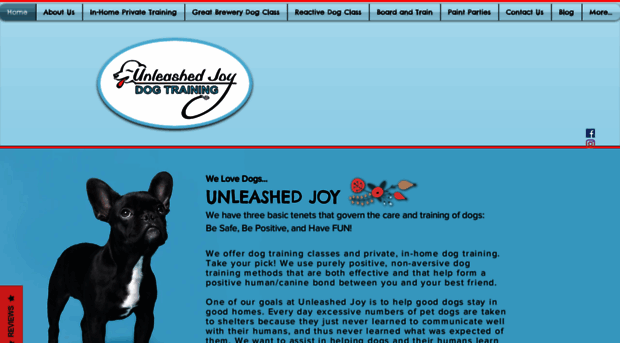 unleashedjoy.com