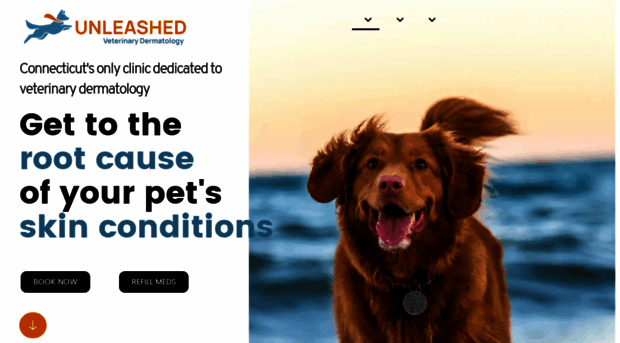 unleashedvetderm.com