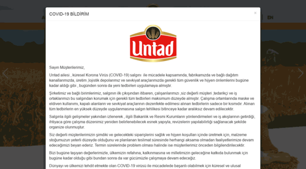 untad.com