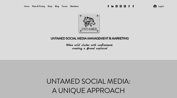 untamedsocialmedia.com