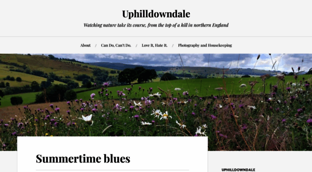 uphilldowndale.wordpress.com