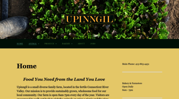 upinngil.com