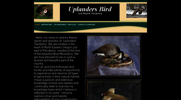 uplandersbirdtaxidermy.com