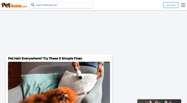 upsidedowndogs.com