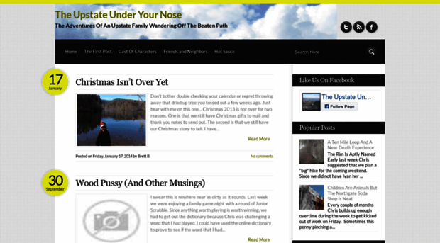 upstateunderyournose.blogspot.com