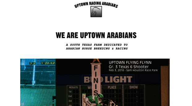 uptownarabians.com