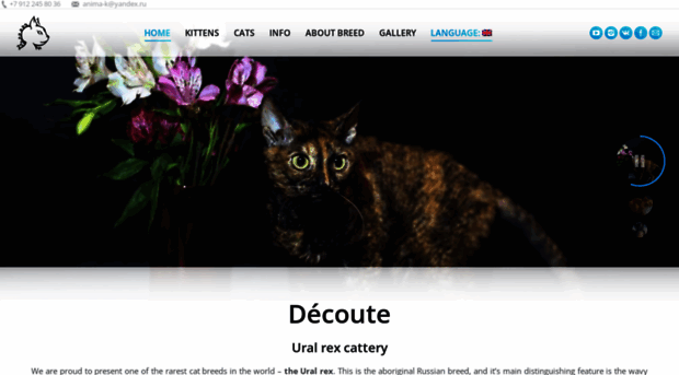 uralcats.ru