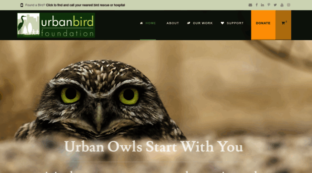 urbanbird.org