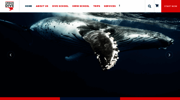 urbandive.co.za