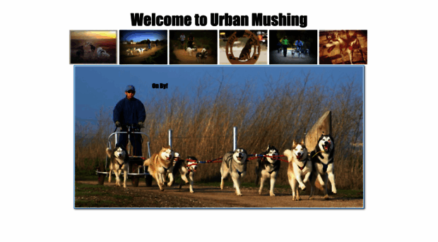 urbanmushing.com