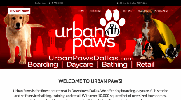 urbanpawsdallas.com