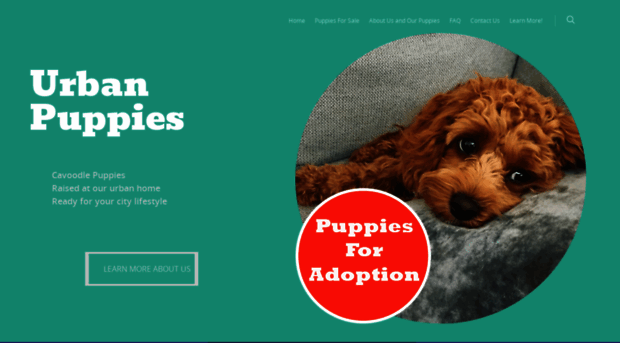 urbanpuppies.com.au