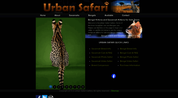 urbansafaricattery.com