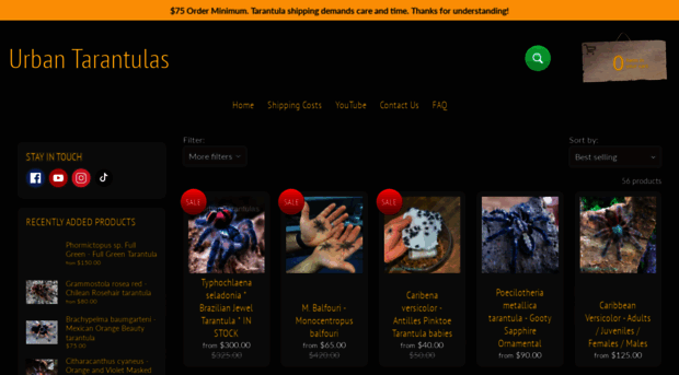 urbantarantulas.com