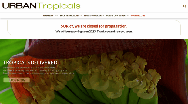 urbantropicals.com