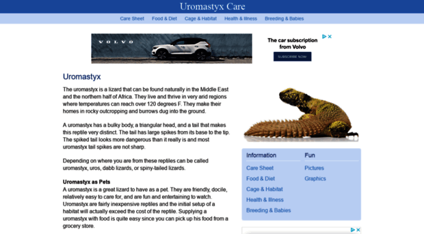 uromastyxcare.com