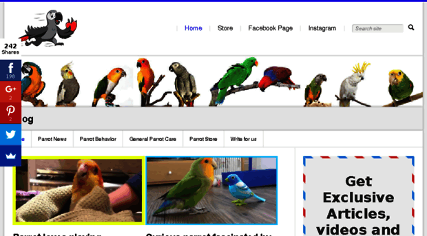 urparrot.com