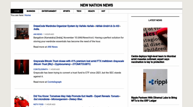 us.newnationnews.org