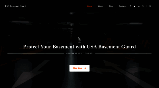 usabasementguard.com