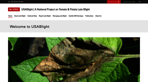 usablight.org