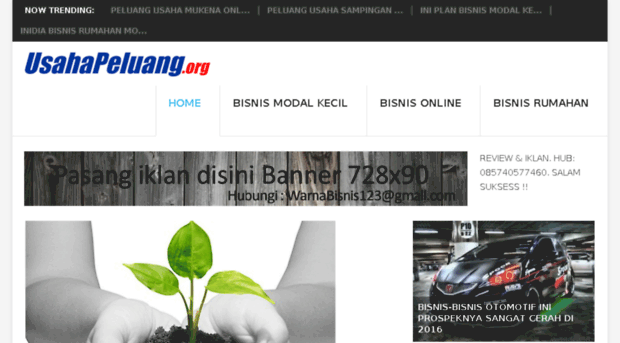 usahapeluang.org