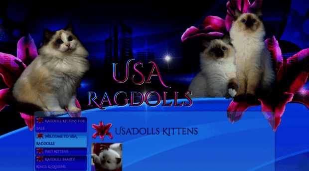 usaragdolls.com