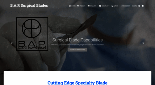 usasurgicalblades.com