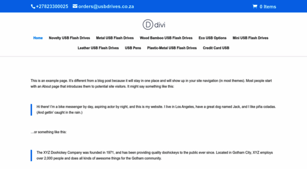usbdrives.co.za