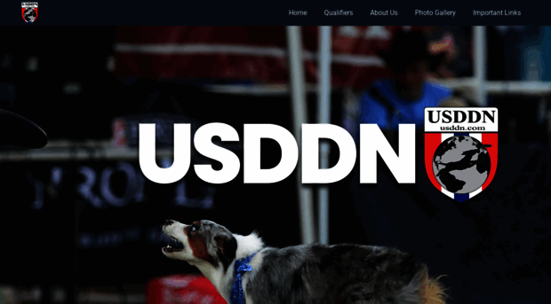 usddn.com