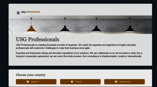 usgprofessionals.com