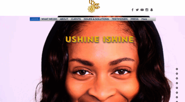 ushineishine.com