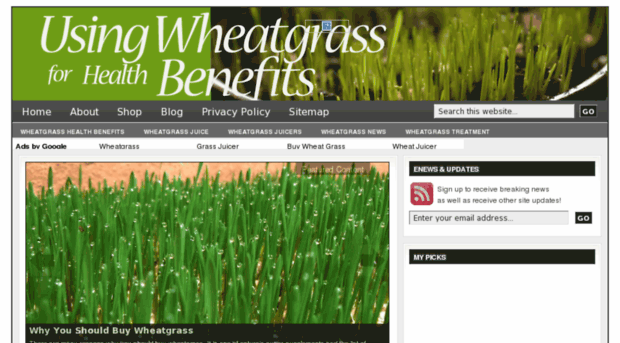 usingwheatgrass.com