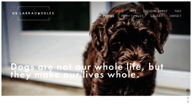 uslabradoodles.com