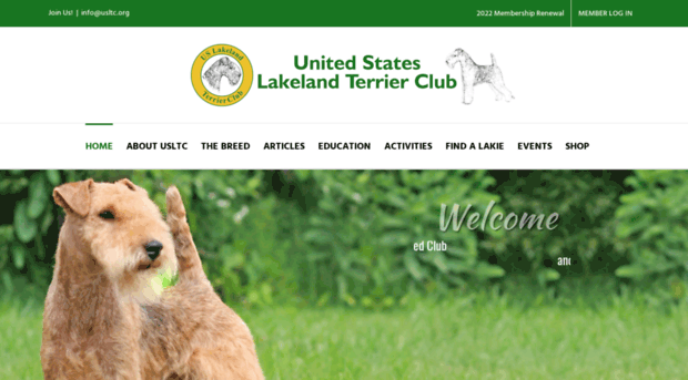 uslakelandterrier.org