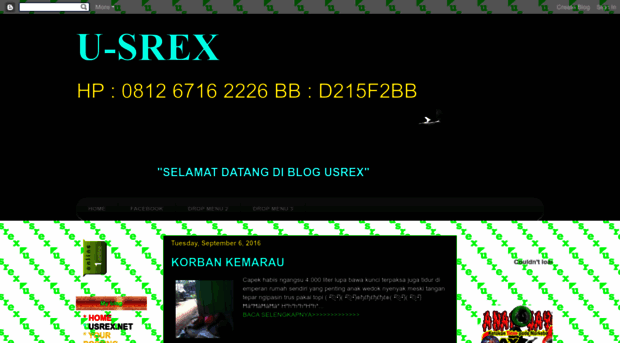 usrex.blogspot.com