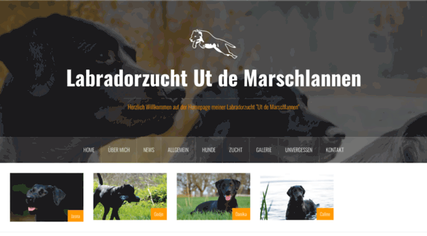 ut-de-marschlannen.de